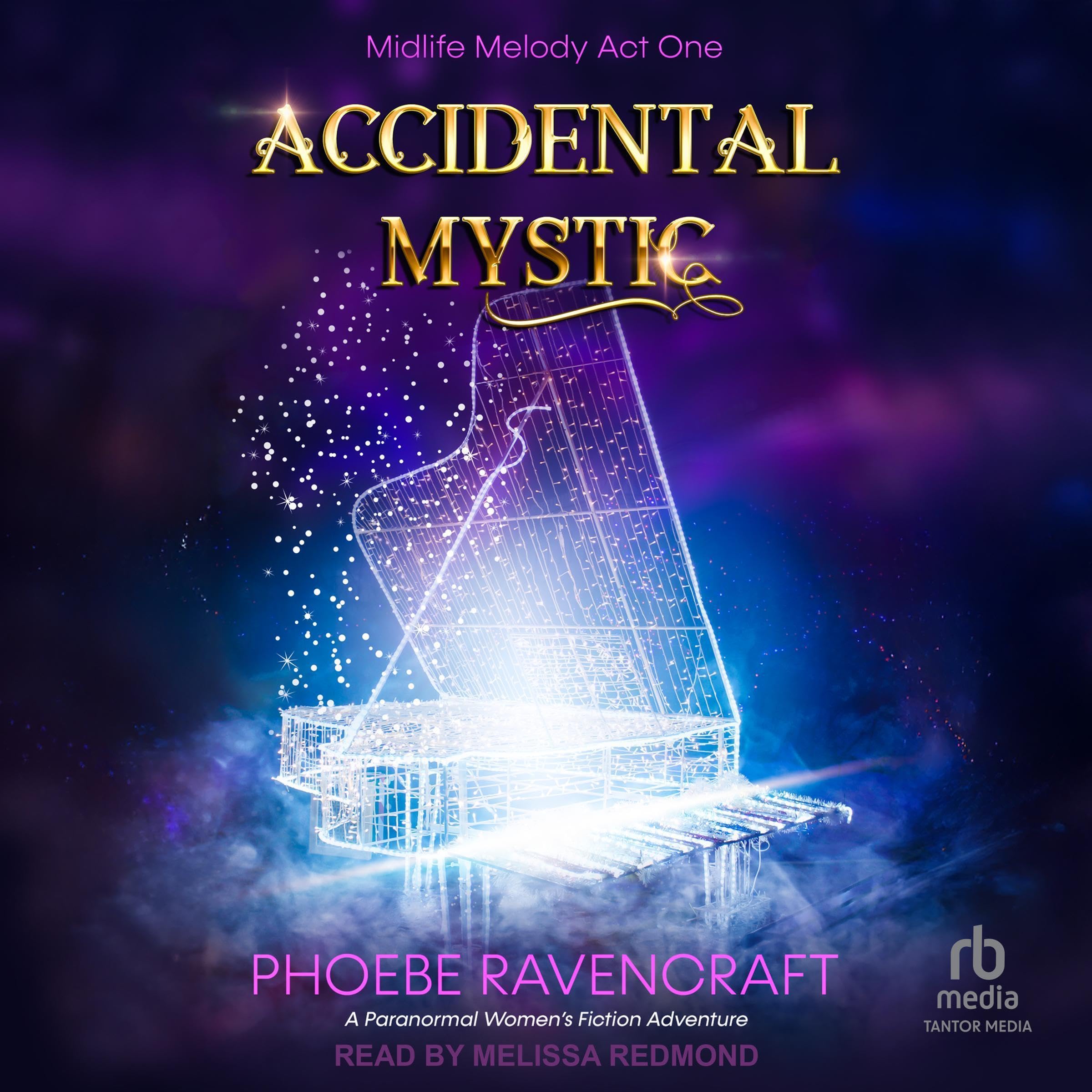 Cover art for Accidental Mystic