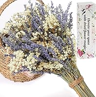 FUKUOKA Dried Lavender & Baby's Breath Bouquet - 2 Natural Gypsophila Bunches for Vases, Weddings, Valentine's Gifts, Home Decor, DIY