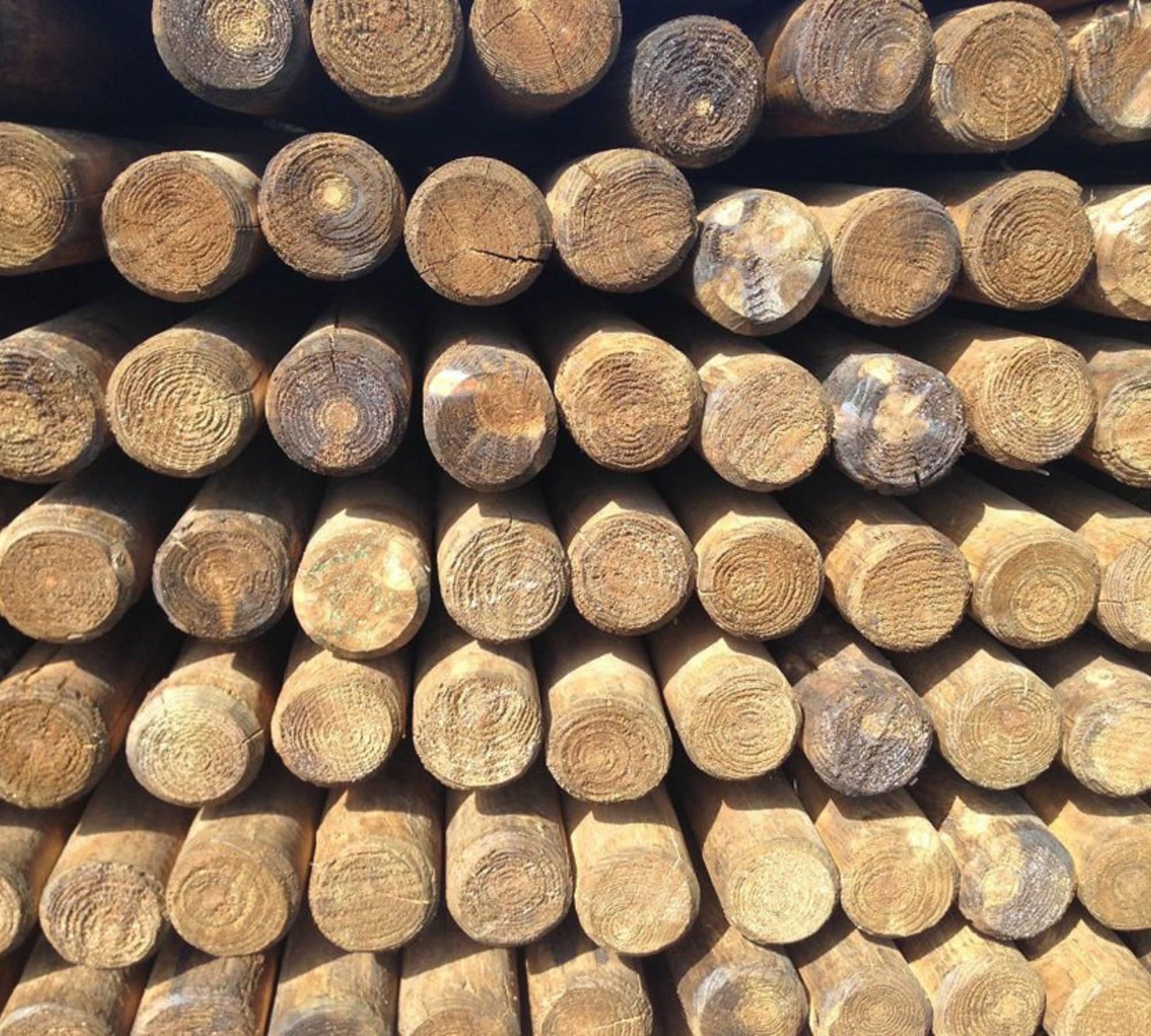 HaGa Lot de 10 piquets en bois - Diamètre : 6 cm - Hauteur : 175 cm - Imprégnés en autoclave (vert) - Résistant aux intempéries - Parfait pour le jardin, l'agriculture et les projets extérieurs