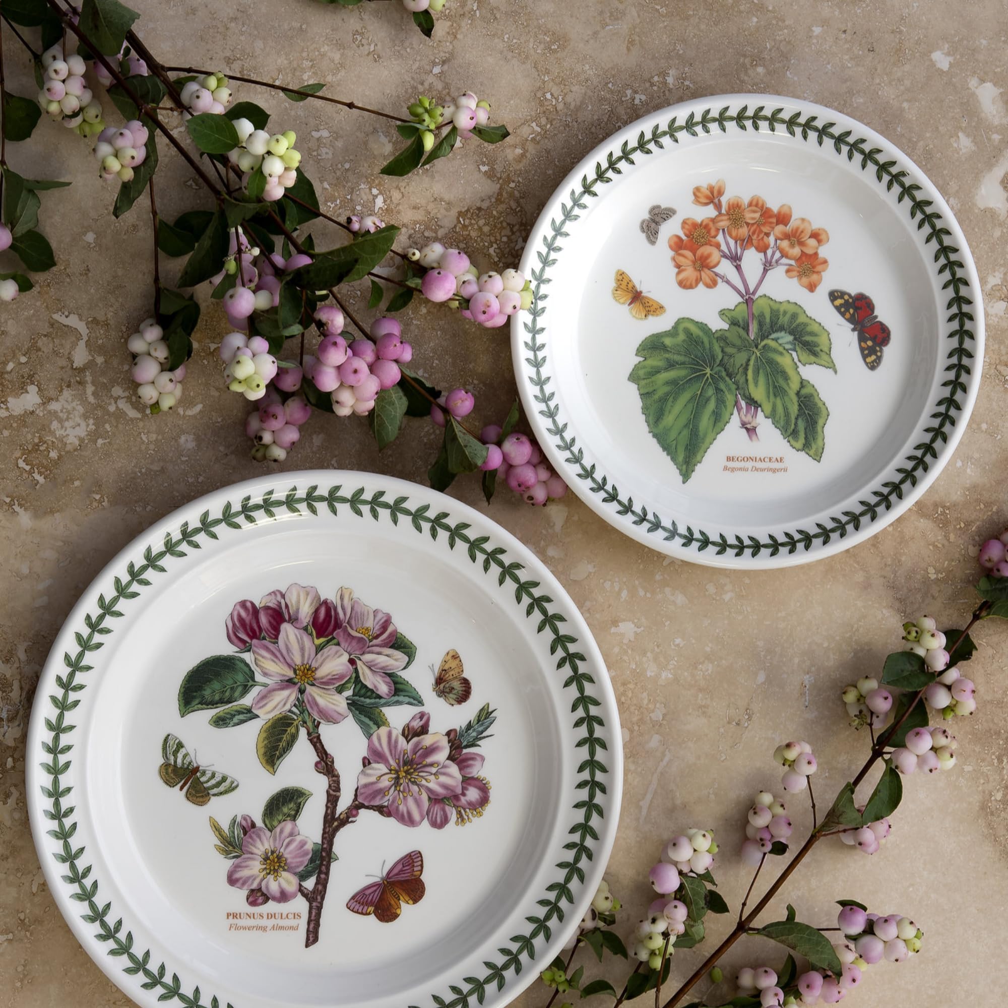 Snapklik.com : Spode Botanic Garden 8.5