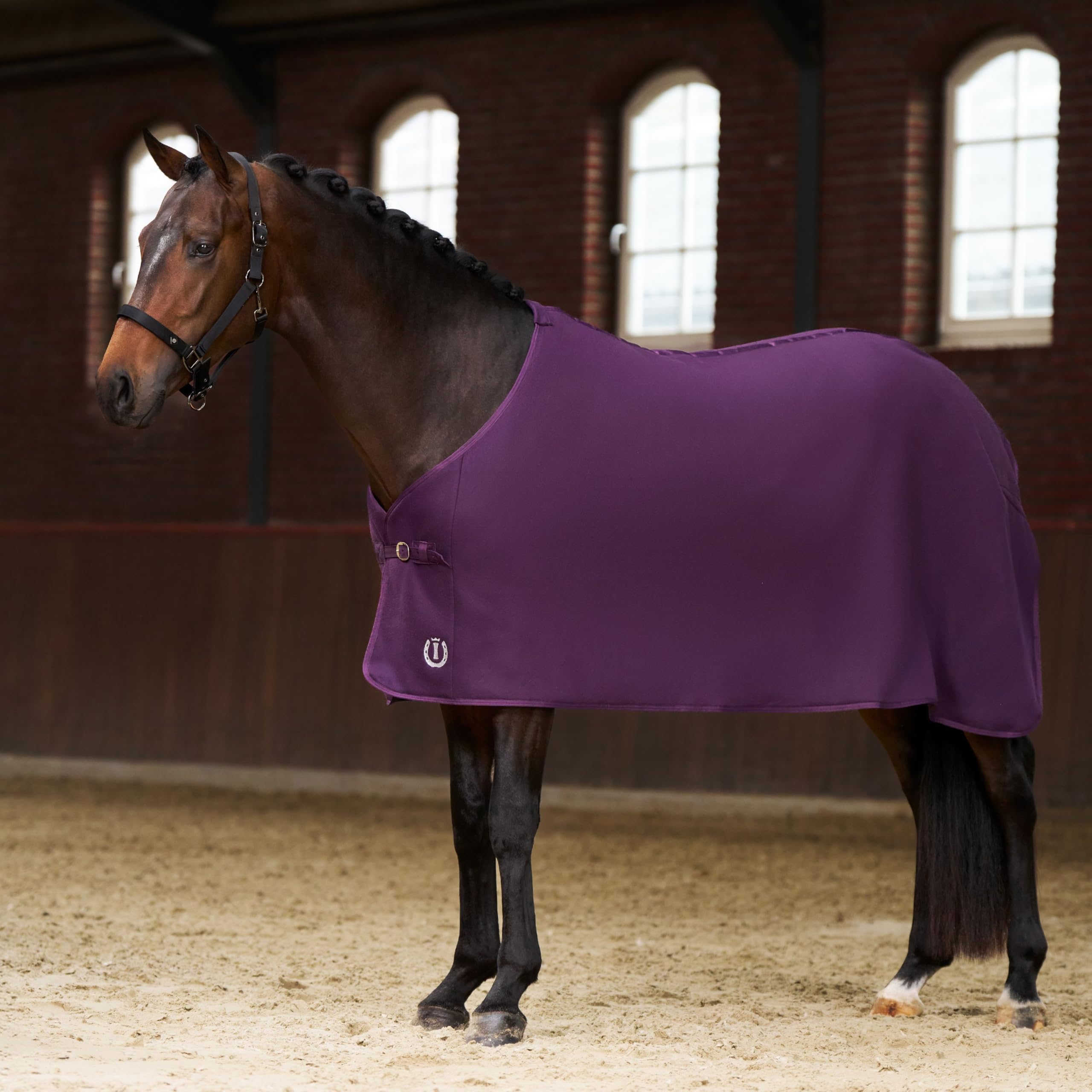 Imperial Riding IRH Fundamental Basic Cooler Blanket, Functional & Breathable, Sweat-Absorbing Polar Fleece Front Closure, Quick Drying Fleece Blanket for Horses, Fig, 115