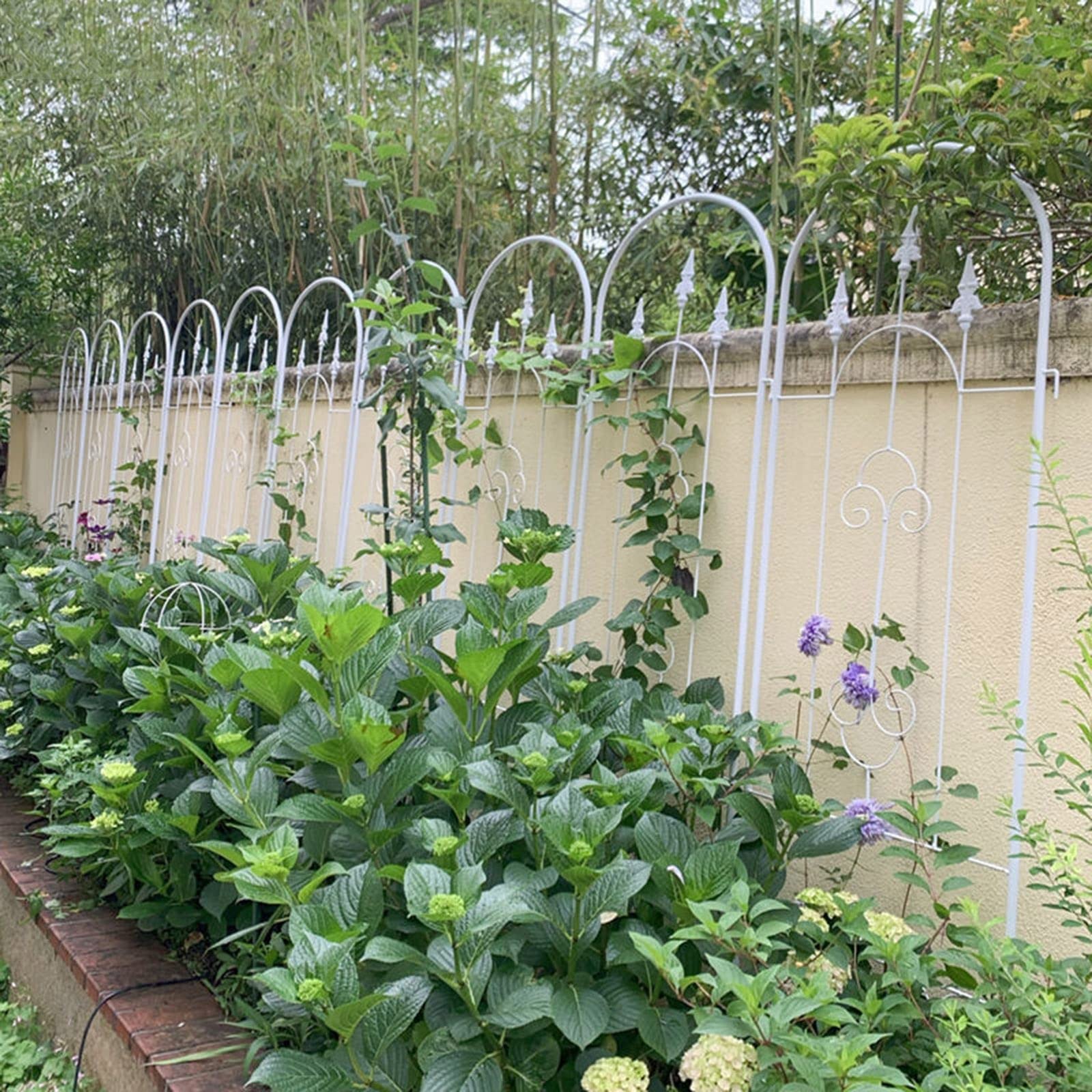 ZYFA Gartenzaun Rankgitter Garten Gartenzäune Metall Rankhilfe Vintage Zaun Gartenstecker Rasenkanten Beetzaun Pflanzenstützen wetterfestes Rankgitter für Gartendeko Deko Kletterpflanzen,Rosen,Reben