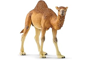 Wild Life Realistic Dromedary Camel Figurine: Authentic and Educational Animal Toy for Kids