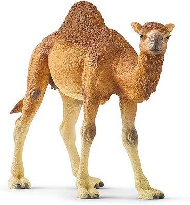 Schleich Wild Life, Realistic Wild Animal Toys for Boys and Girls, Dromedary Camel Toy Figure, Ages 3+