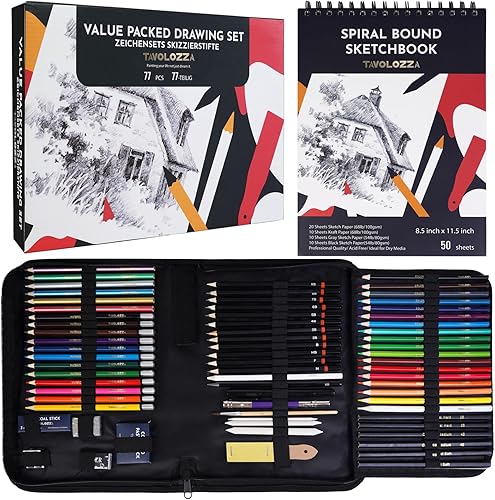 Art Supplies - Juego de 77 piezas de dibujo y bocetos para artistas, adultos principiantes, kit de dibujo profesional con blocs de bocetos, varios