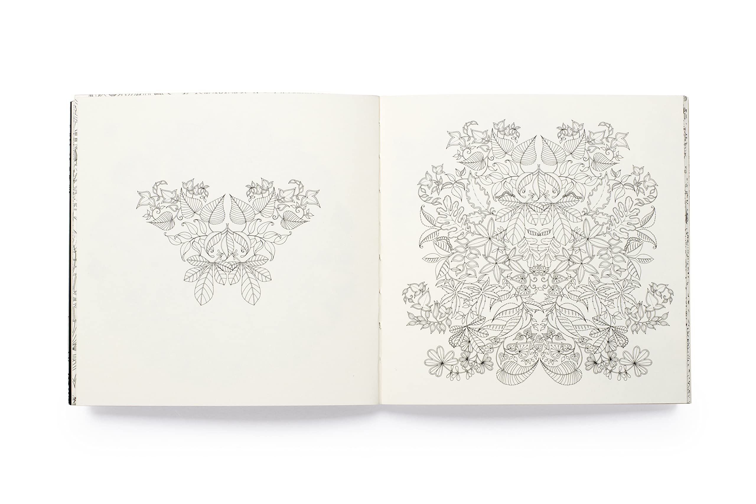 Miniature Secret Garden /anglais: A Pocket-Sized Coloring Book for Adults