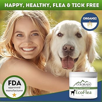 bravecto dogs amazon