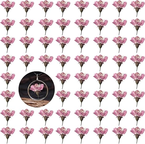 Flores de cerezo prensadas secas, 60 piezas de flores secas naturales de color rosa para decoración de resina, manualidades, fabricación de velas,