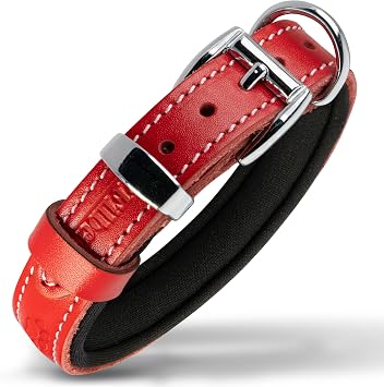 Filbert Leather Dog Collar, Genuine Leather Collar for Small Dogs, Pawprint Embossed with Buckle, Top-Notch Quality Vegetable-Tanned Full Grain, Strong, Adjustable, Heavy Metal Buckle, Red
