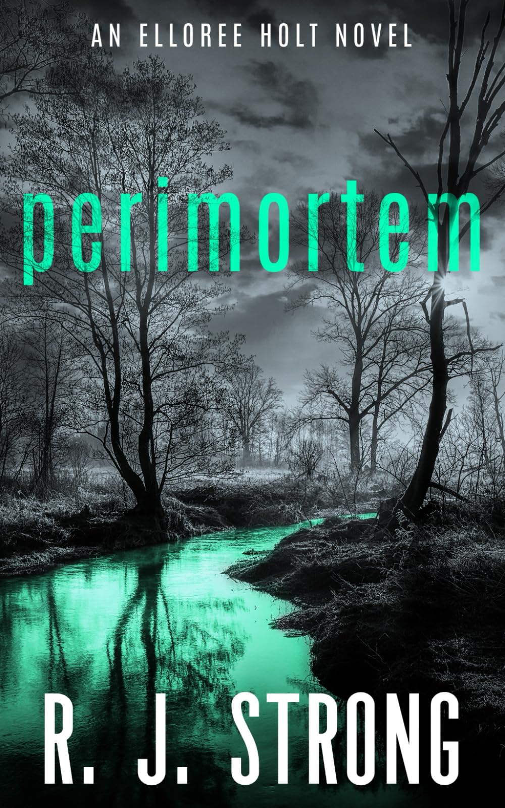 Perimortem (Elloree Holt Forensic Crime Thriller)