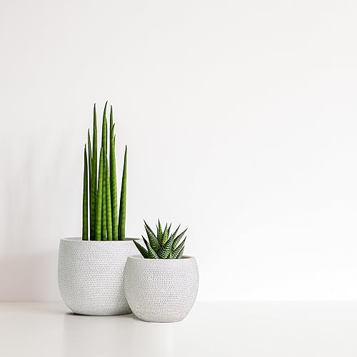 Miniatura 8 de Olly & Rose Barcelona - Juego de 2 macetas de cerámica negras de 7 y 5.5 pulgadas, macetas para interiores y exteriores (negro)