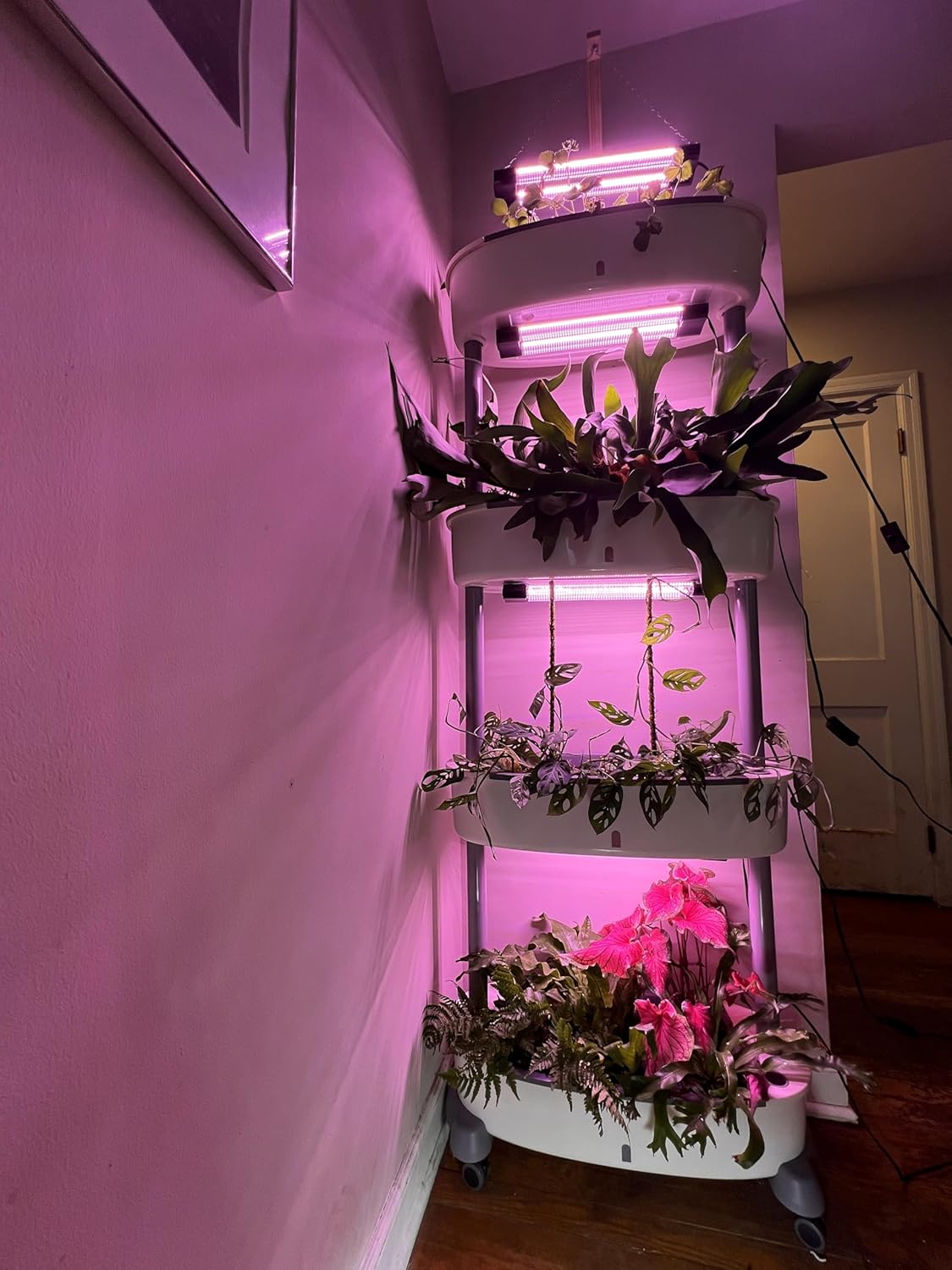 Vertical Garden Planter, Indoor Mobile Plant Stand with Wheels, Stackable Growing System, White (Extra Large)