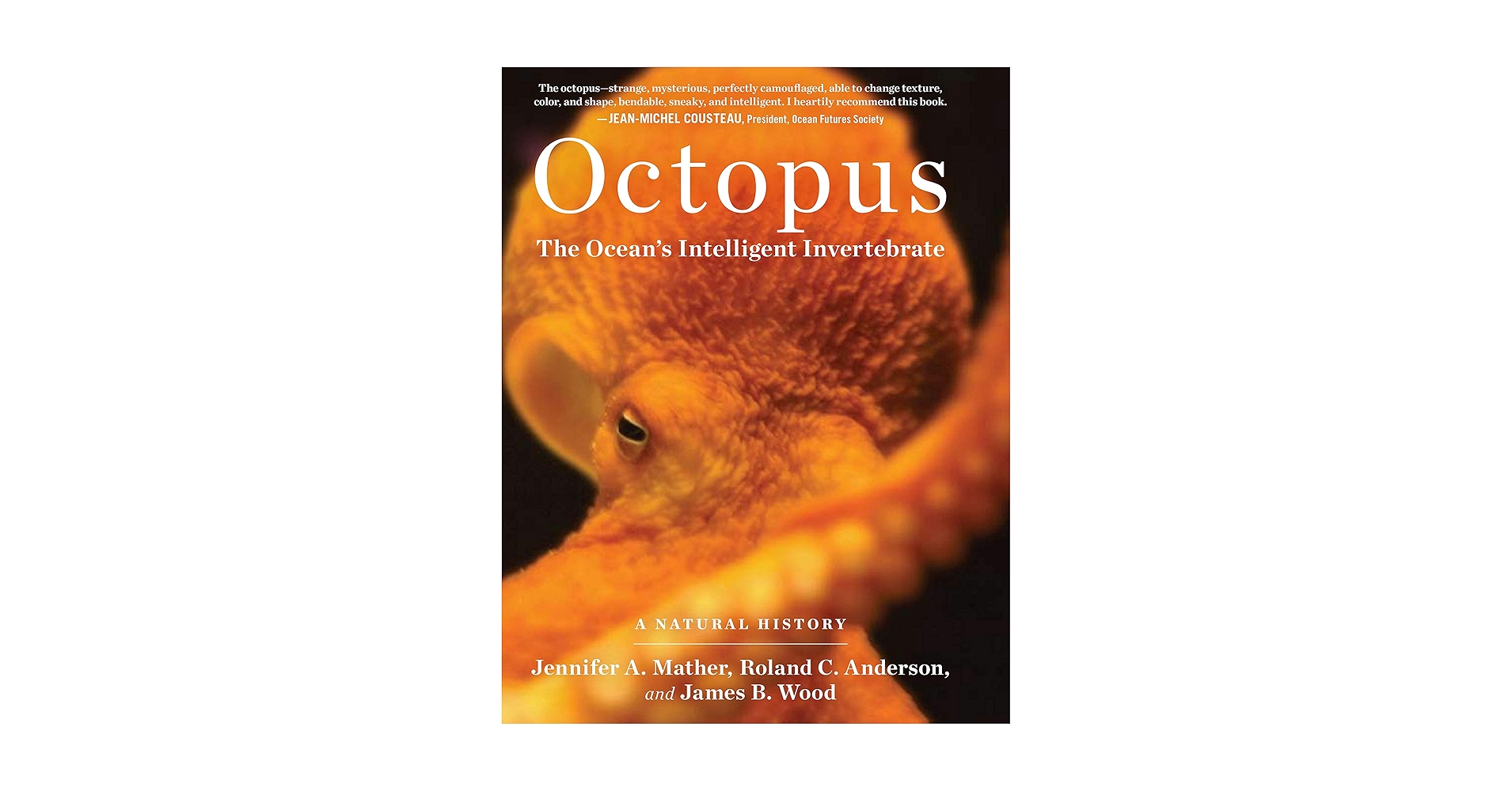 Octopus: The Ocean's Intelligent Invertebrate: Mather