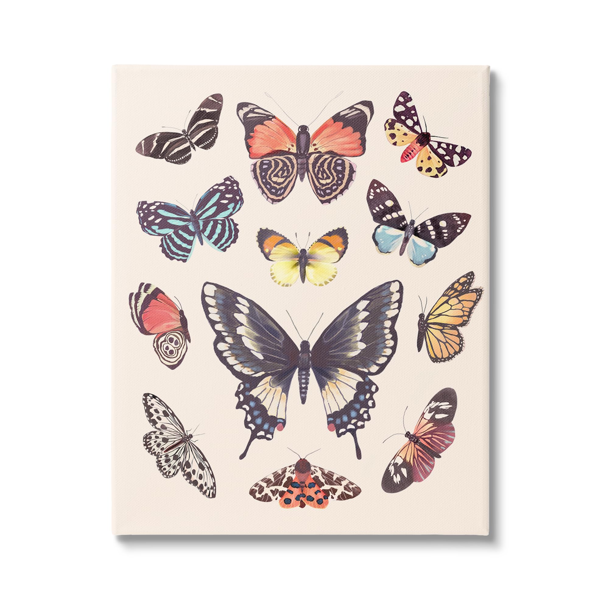 Stupell Industries Cottage Moths & Butterflies Canvas Wall Art by Diane Neukirch