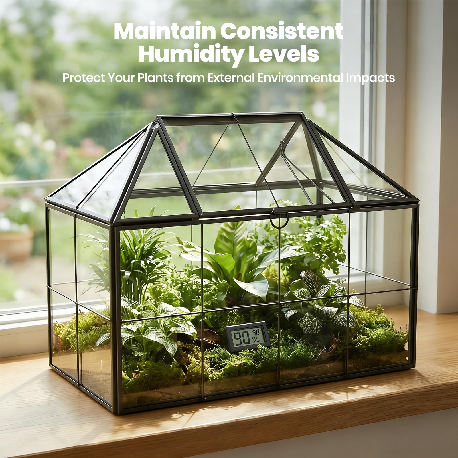 Mini serre rebord de fenêtre en verre pour plantes terrarium petit jardin en bouteille DIY