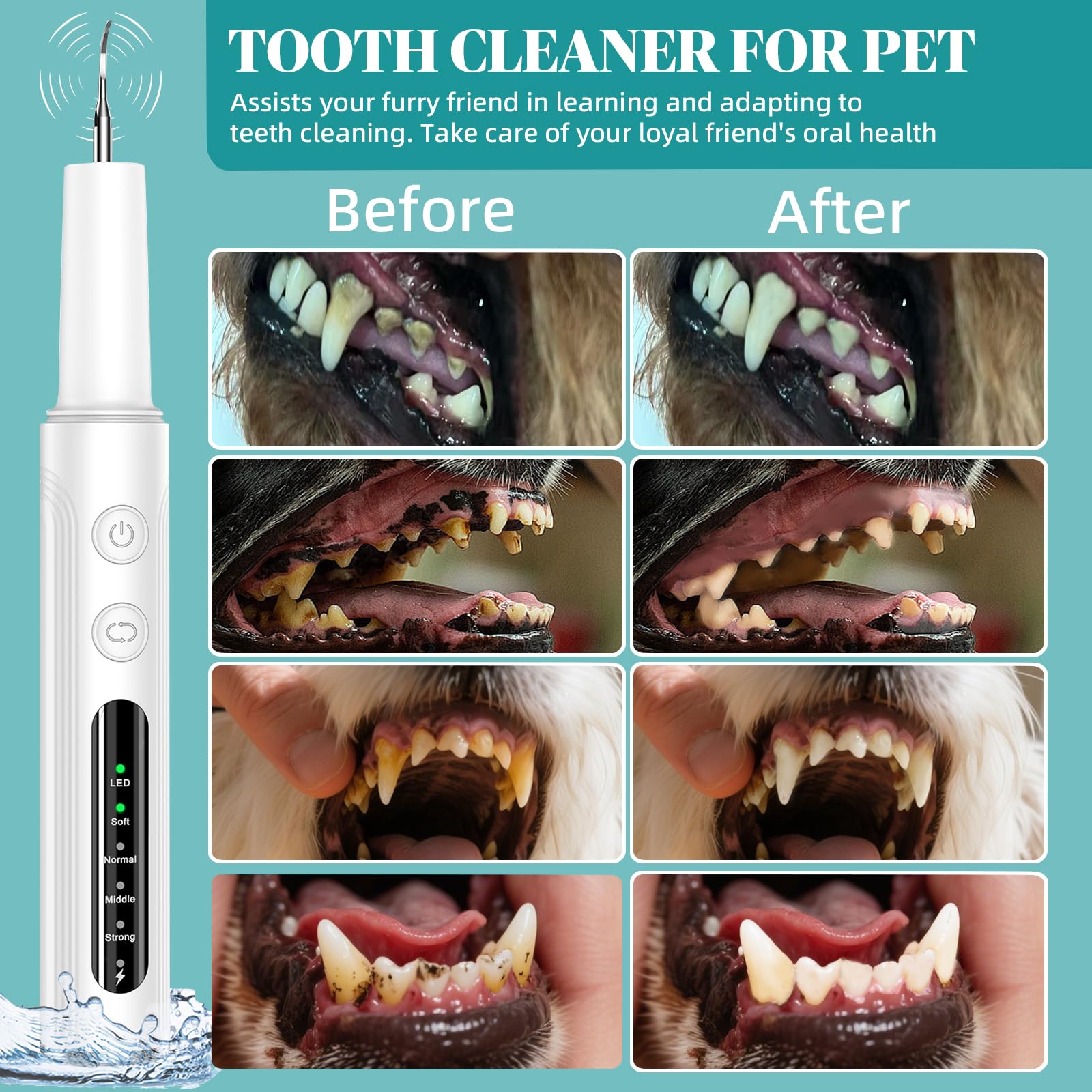 Plaque Remover for Teeth, Pet Tooth Cleaner - Image 4