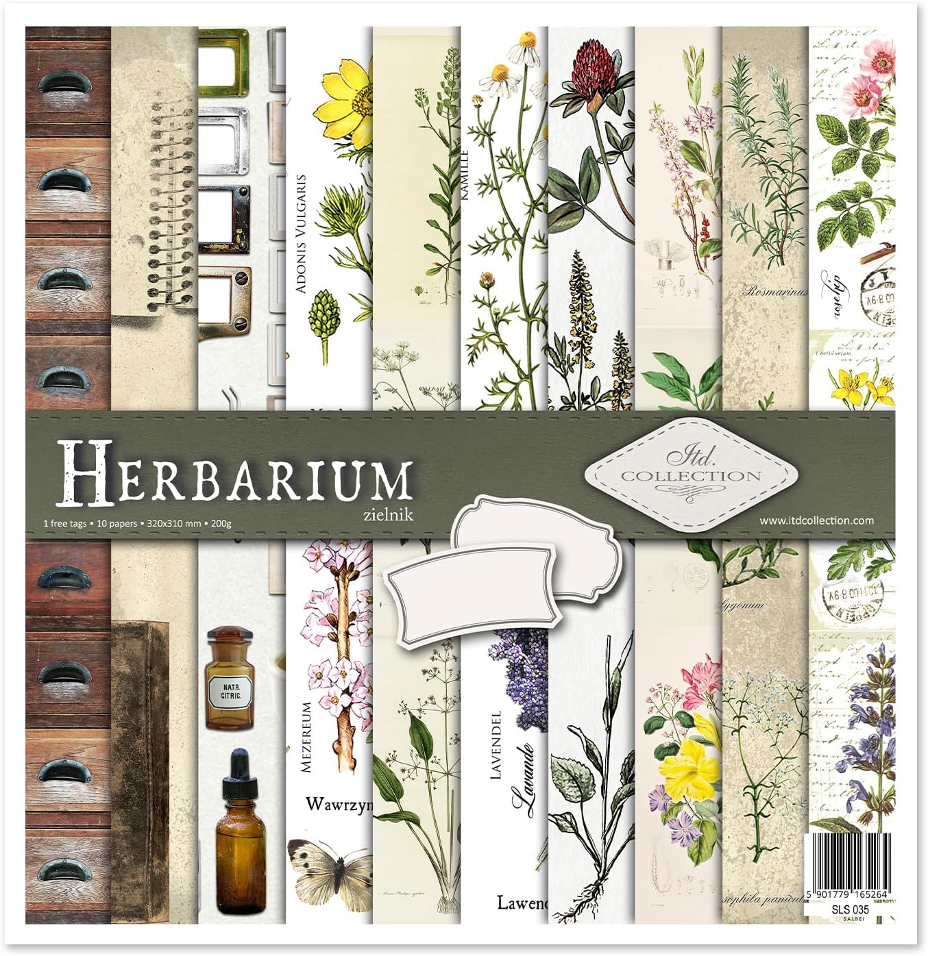Frl.Erna ITD Collection – Scrapbooking Package, Scrapbooking Paper, Decorative Paper, Card Making Pape Paper Size – 12 x 12 Inch, 310 x 320 mm (Herbarium) (SLS-035)