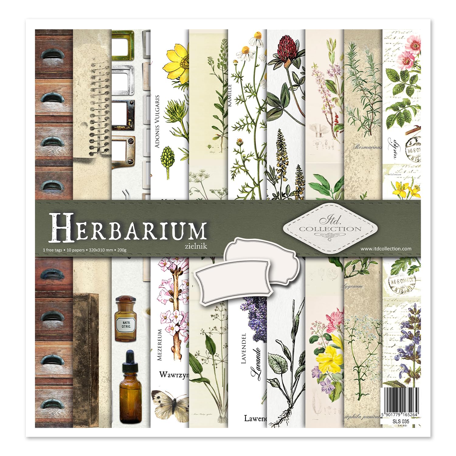 ITD Collection - Scrapbooking Package 12 x 12 inches, Scrapbooking Paper, Decorative Paper, decoupage, Card Making, Paper Size - 310 x 320 mm (Herbarium, SLS-035)