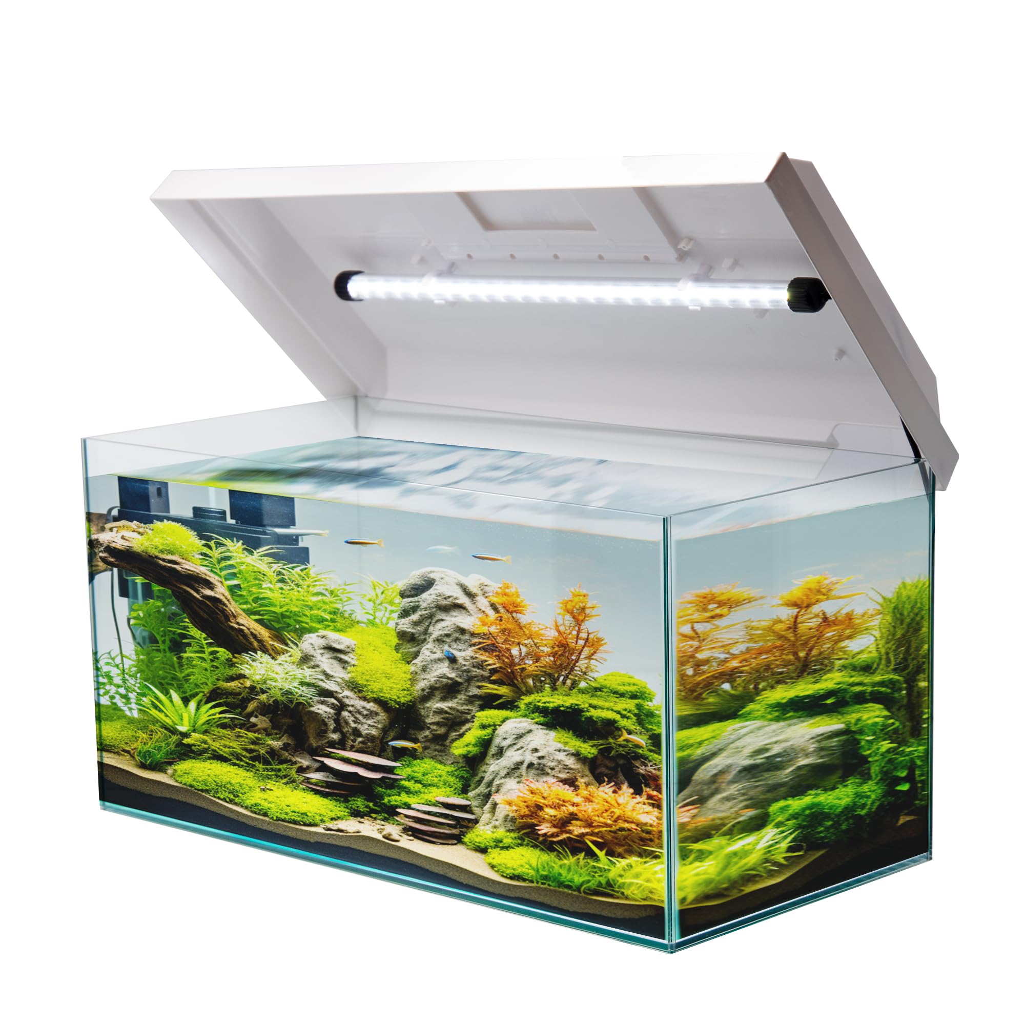 Aquarium 60x30x30 cm, 54 Liter Glasbecken mit Juwel LED, weiß | Kompaktes Süßwasser- und Meerwasser-Aquarium mit weißer Abdeckung, integrierter LED-Beleuchtung und Futterklappe