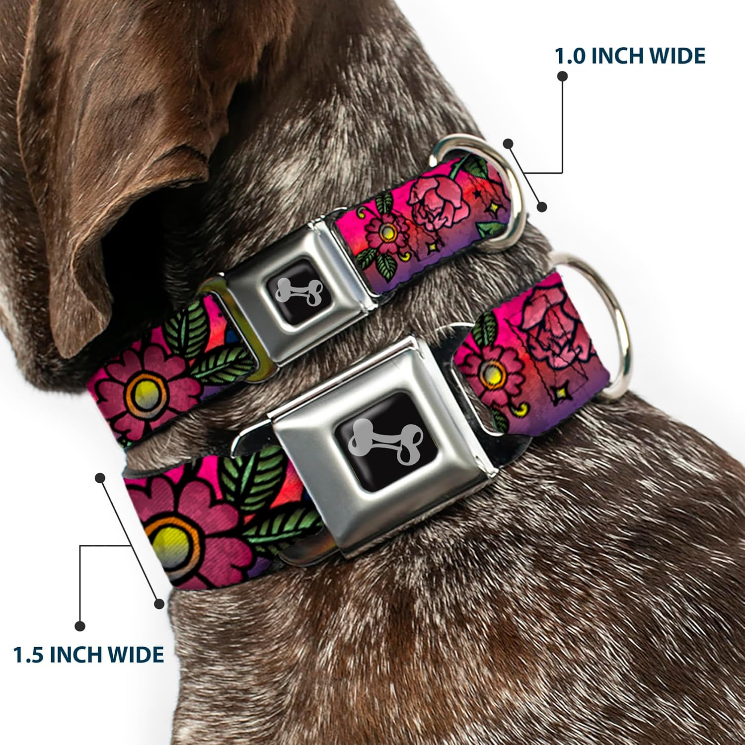Buckle-Down Seatbelt Buckle Dog Collar - Love Kills CLOSE-UP Pink - 1" Wide - Fits 11-17" Neck - Medium