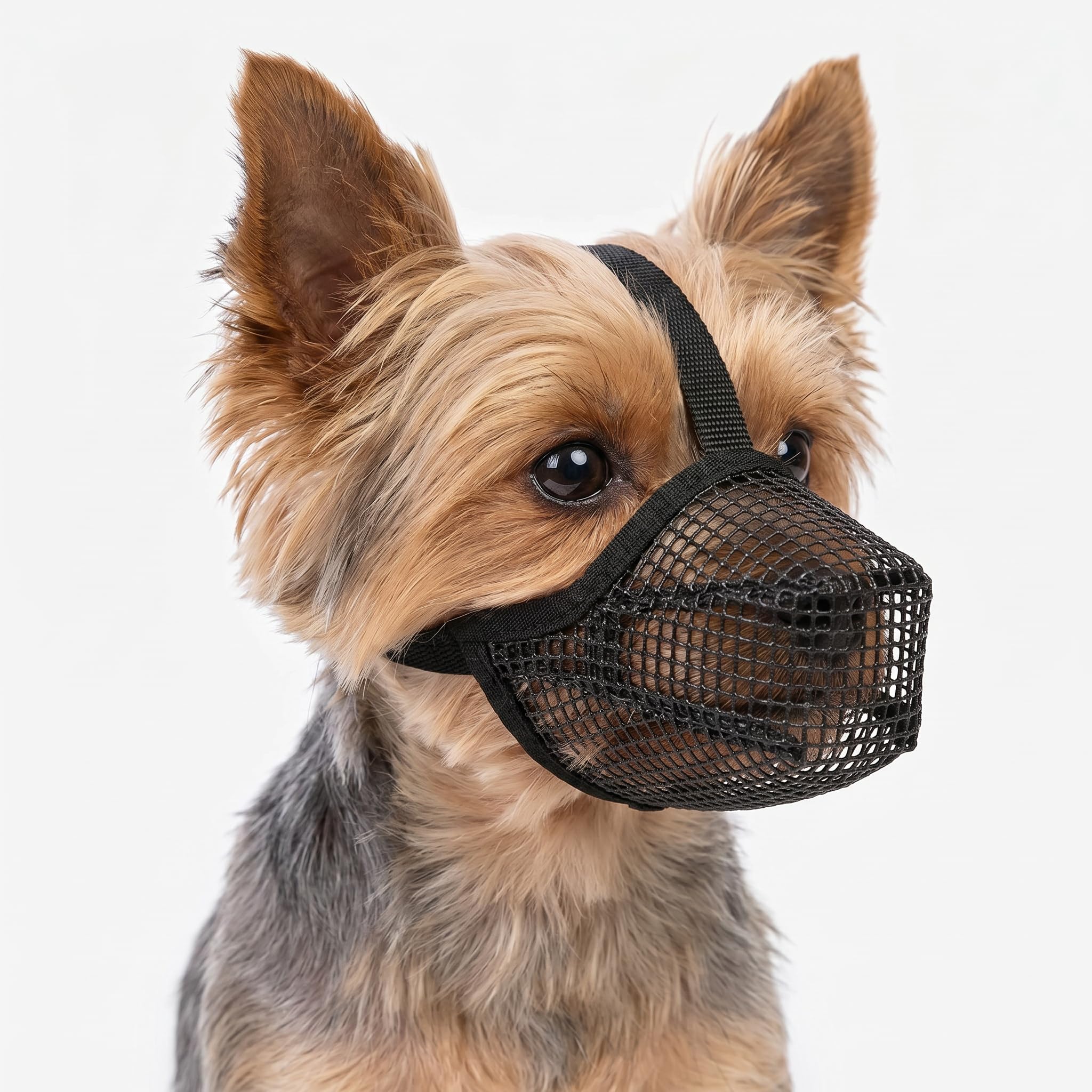 Dog Muzzle, Soft Mesh Muzzle Breathable Puppy Muzzles Adjustable Pet Mask Mouth Guard Cover for Medium Dogs Prevent Scavenging Eating Biting Chewing Licking (Black, XS)