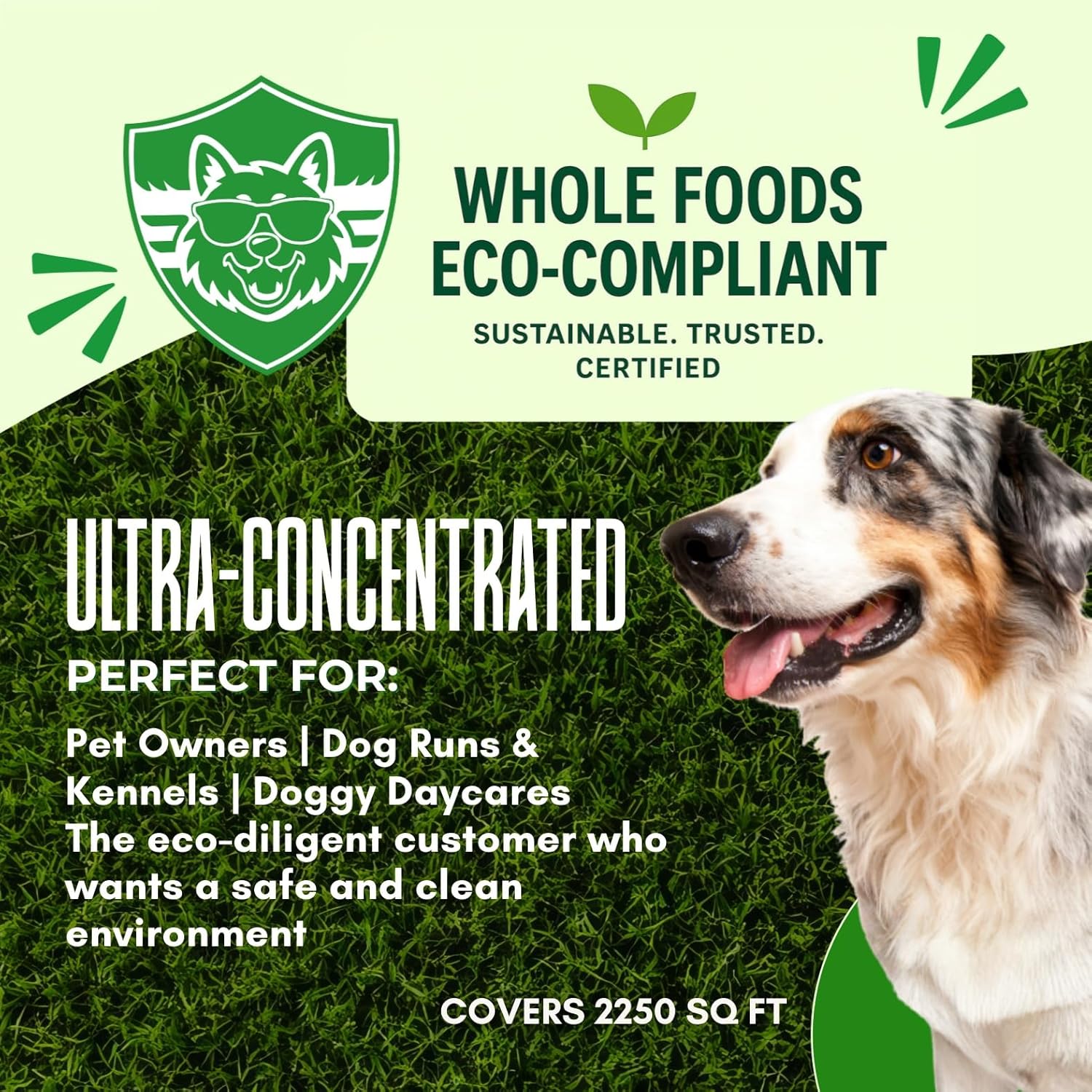 PRO‑STRENGTH Turf Animal Outdoor Pet Odor Remover & Odor Neutralizer for Dogs & Pets – Heavy‑Duty Urine Eliminator for Artificial Turf, Patios & Concrete – Eco‑Friendly – 42.3 fl oz (2 Bags + Sprayer)