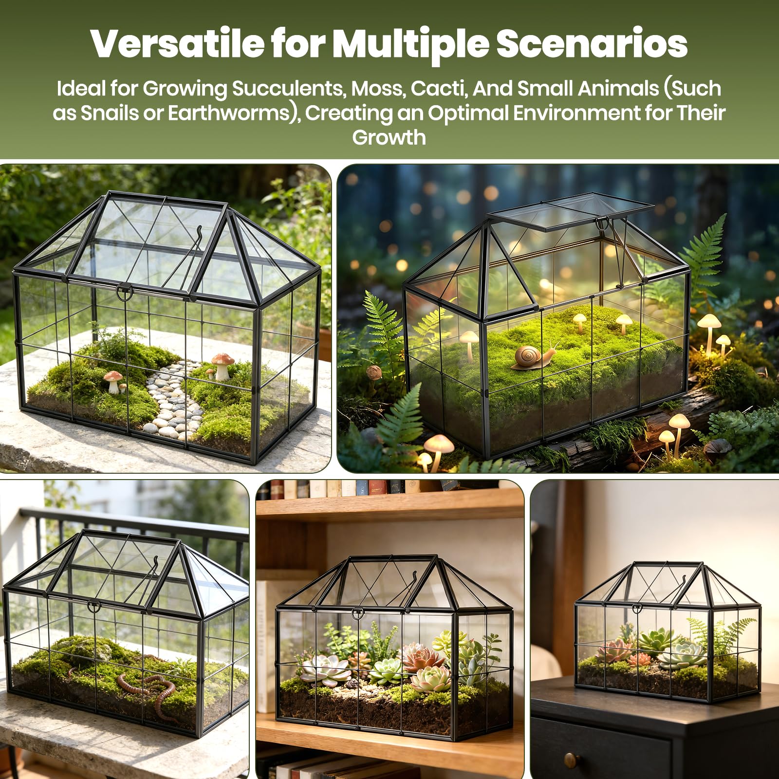 Mini serre rebord de fenêtre en verre pour plantes terrarium petit jardin en bouteille DIY