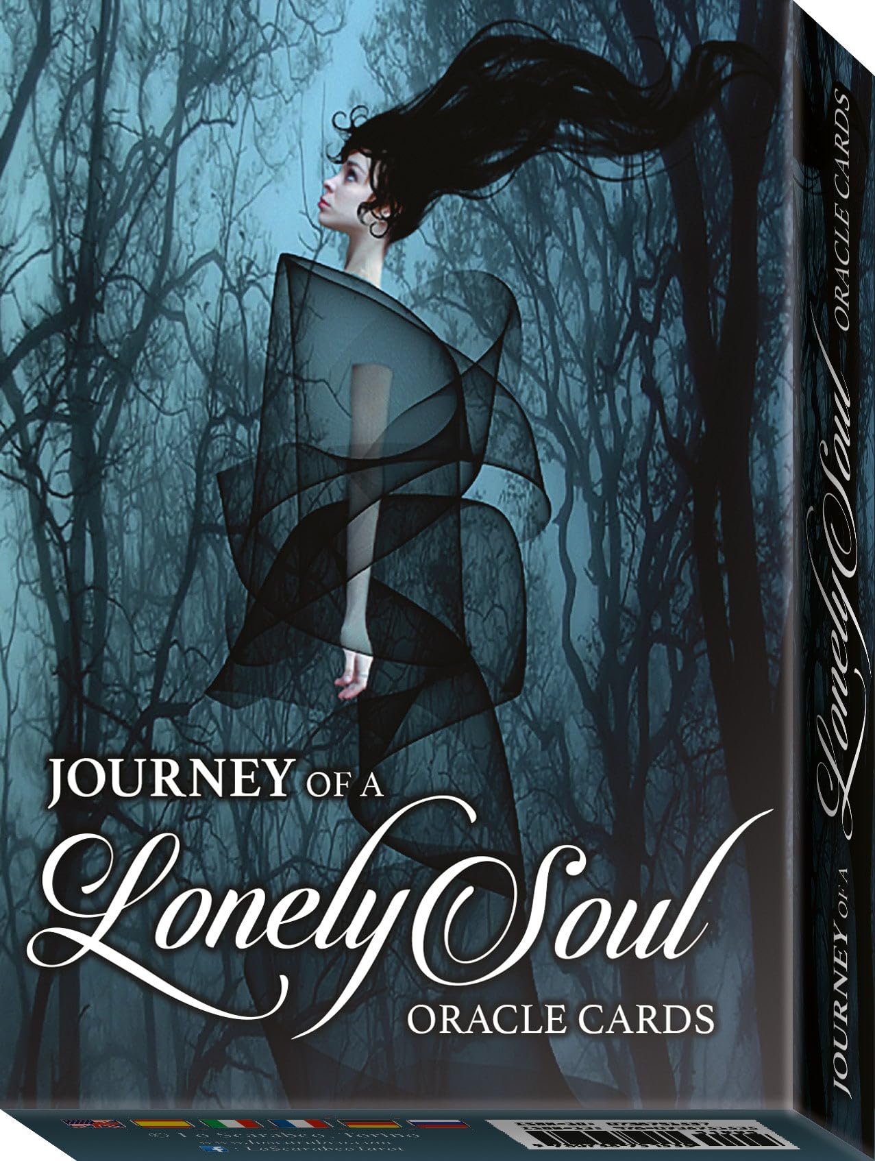 Journey of lonely soul oracle. Ediz. multilingue