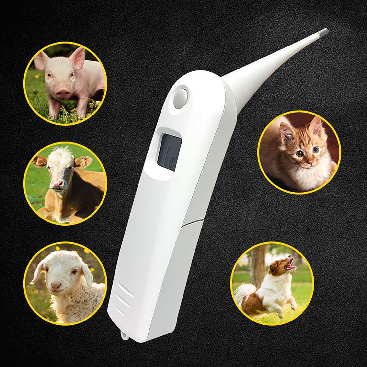 Veterinary Digital Pet Thermometer with Battery and Lanyard, Fast Rectal Temperature Measurement for Horses, Cows, Pigs, Dogs, Sheep and Poultry