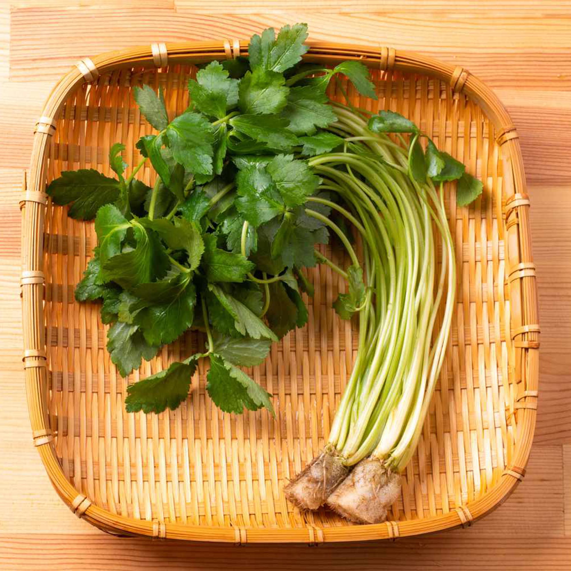 Japanese Parsley Seeds Mitsuba, Cryptotaenia Japonica Herbaceous Perennial Culinary Uses Good Source of Vitamins A and C Gardens Outdoor 2000Pcs Herb Seeds by YEGAOL Garden