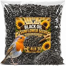 Office Roast Premium Black Sunflower Seeds | 4 LB Bulk Value Pack | Natural Wild Bird Seed for Backyard Feeders, High-Energy Food for Songbirds
