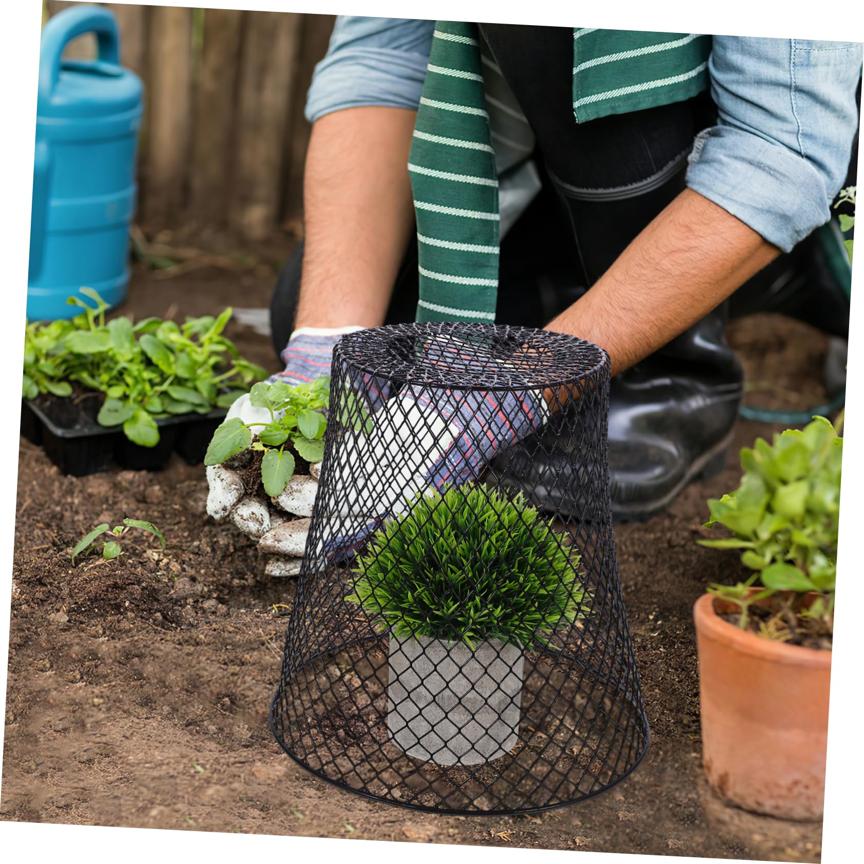 Abaodam Pflanzenschutzkäfig, wiederverwendbar, für Setzlinge, Gemüse, Blumen, langlebiger Pflanzenschutz und Versorgung für Pflanzenpflege, 4 Stück
