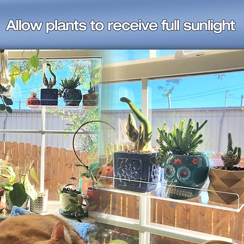 Miniatura 6 de Paquete de 2 cajas de ventana de acrílico de 15 pulgadas, estantes para plantas, con extensor de alféizar de ventana con ventosa, para suculentas de