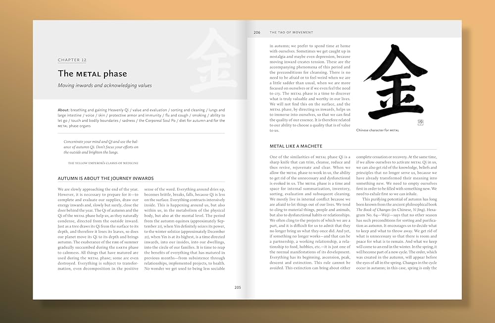 The Tao of Movement: Chinese Medicine Principles for Movers