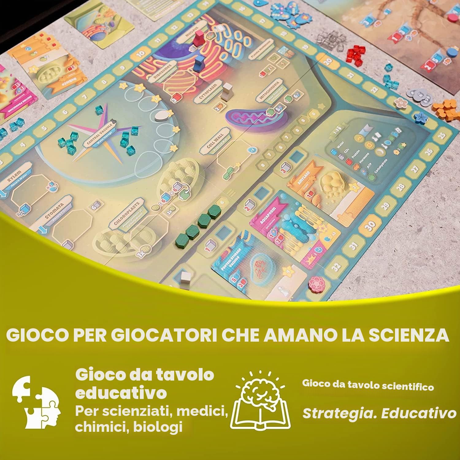 Cellulosa: un gioco di biologia cellulare vegetale | Gioco strategico e divertente consigliato da MENSA per imparare la fotosintesi, il DNA e la biochimica | Gioco da tavolo STEM educativo per