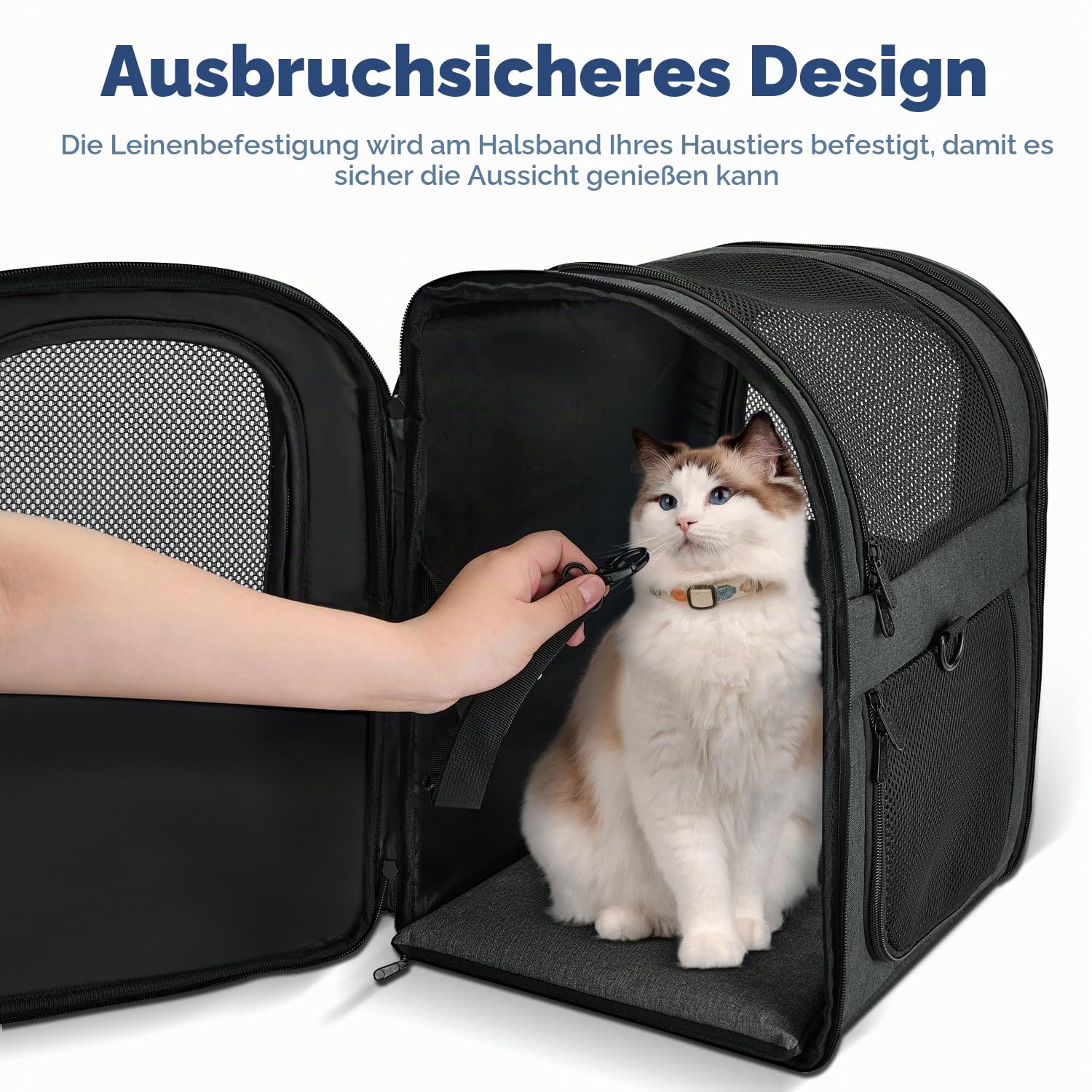 Apollo Walker Tragerucksack für Hunde und Katzen für mittelgroße und kleine Haustiere – belüftetes, sicheres Design mit gepolsterter Rückenpartie, atmungsaktiver Mesh-Haustierrucksack für Wandern