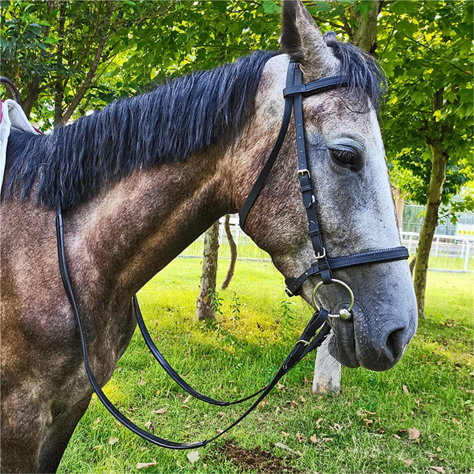 Equipo Ecuestre, Brida for Caballo, Cabestro, Collar de Cabeza de Caballo y riendas, Brida de Color Negro para Caballos(Black-S)