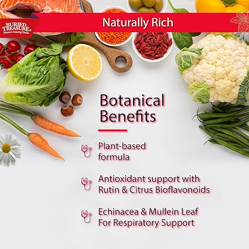 Miniatura 6 de Buried Treasure ACF - Apoyo inmunológico extra fuerte, 16 onzas con dosis, vitaminas y hierbas, suplemento de refuerzo de inmunidad dietética