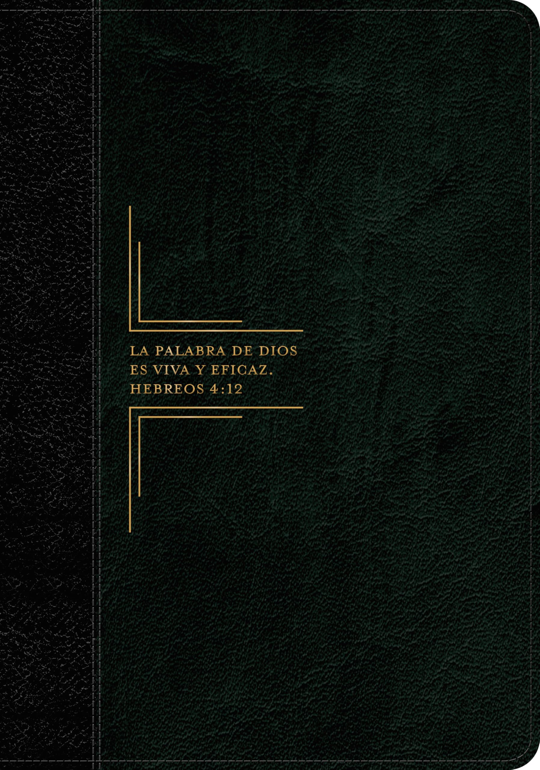 Biblia de Estudio del Diario Vivir Rvr60, Letra Grande (Letra Roja, Sentipiel, Negro/ï½nice): Reina-Valera 1960, negro/onice, sentipiel, letra grande