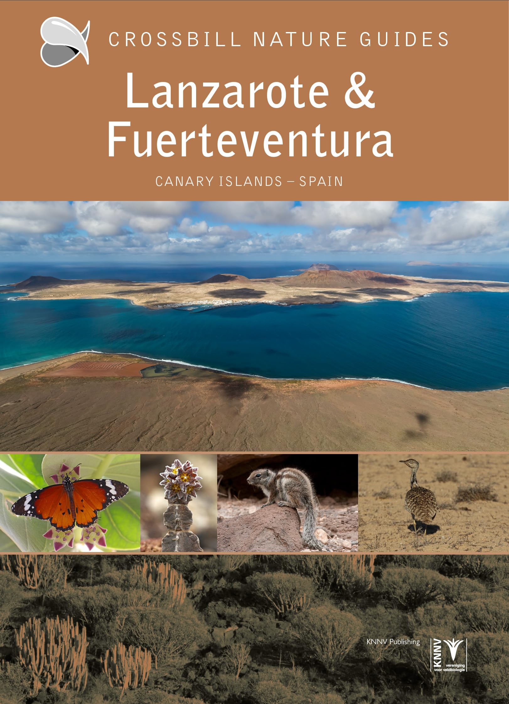 Lanzarote and Fuerteventura: Canary Islands - Spain: 39 (Crossbill Guides)