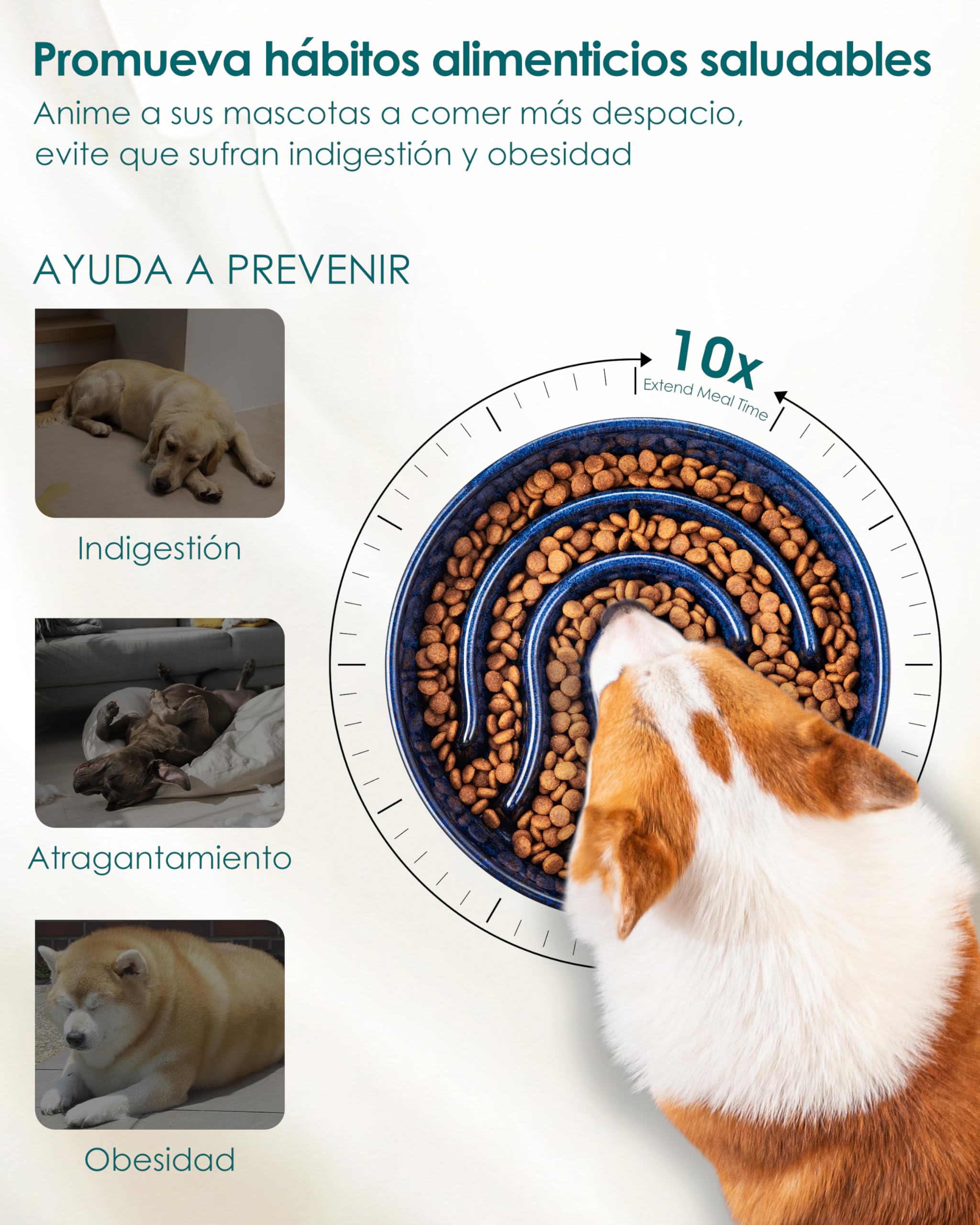 vancasso Comedero Perro Antivoracidad, 960ml Comedero Perro para Perros Pequeños y Medianos, Favorece una Digestión Saludable, Azul