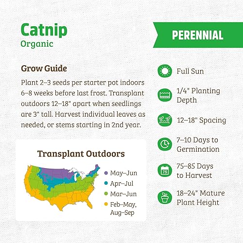 Miniatura 124 de Back to the Roots - Paquete de semillas 100% orgánicas de ají poblano de 0.005 onzas Ají 'Poblano' 140mg,Frijol 'cera dorada' 0.30 oz,Frijol