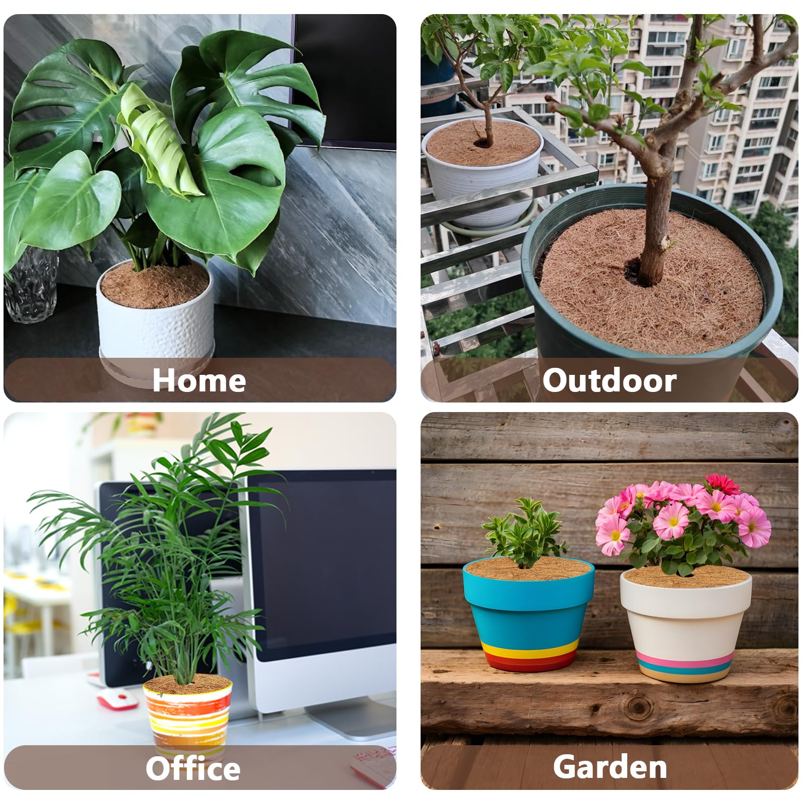 Yixinly 5 Pcs Tapis De Coco Protection Hivernale 25 Cm