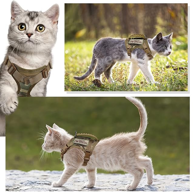 Foto 4 de 6 de Arnés táctico para Gatos para Caminar a Prueba de Escapes