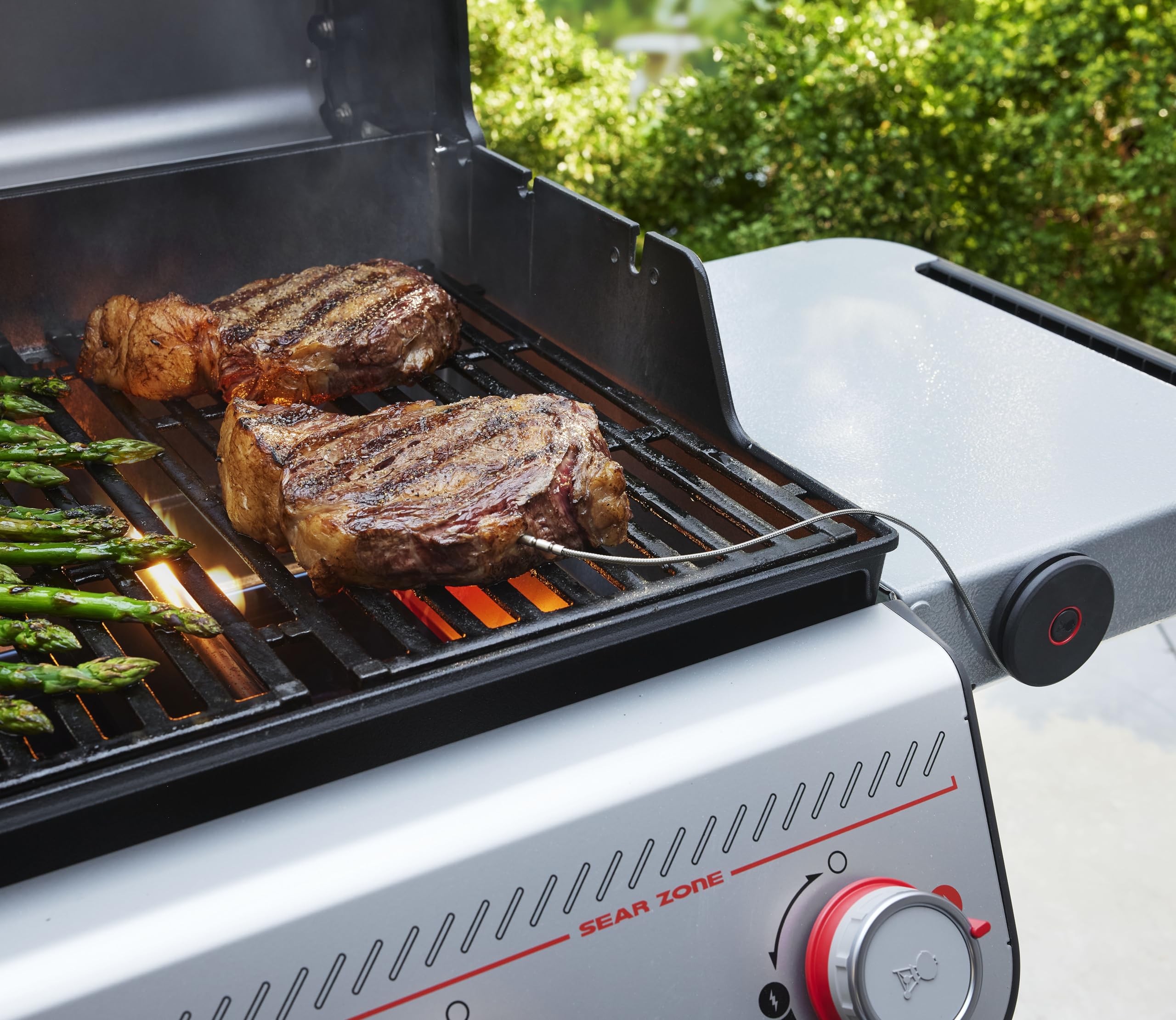 Weber Smart Thermomètre avec sondes de Grille et de Viande/Mesure la température du Gril et à cœur pour Une Cuisson Parfaite – Noir (3400590)