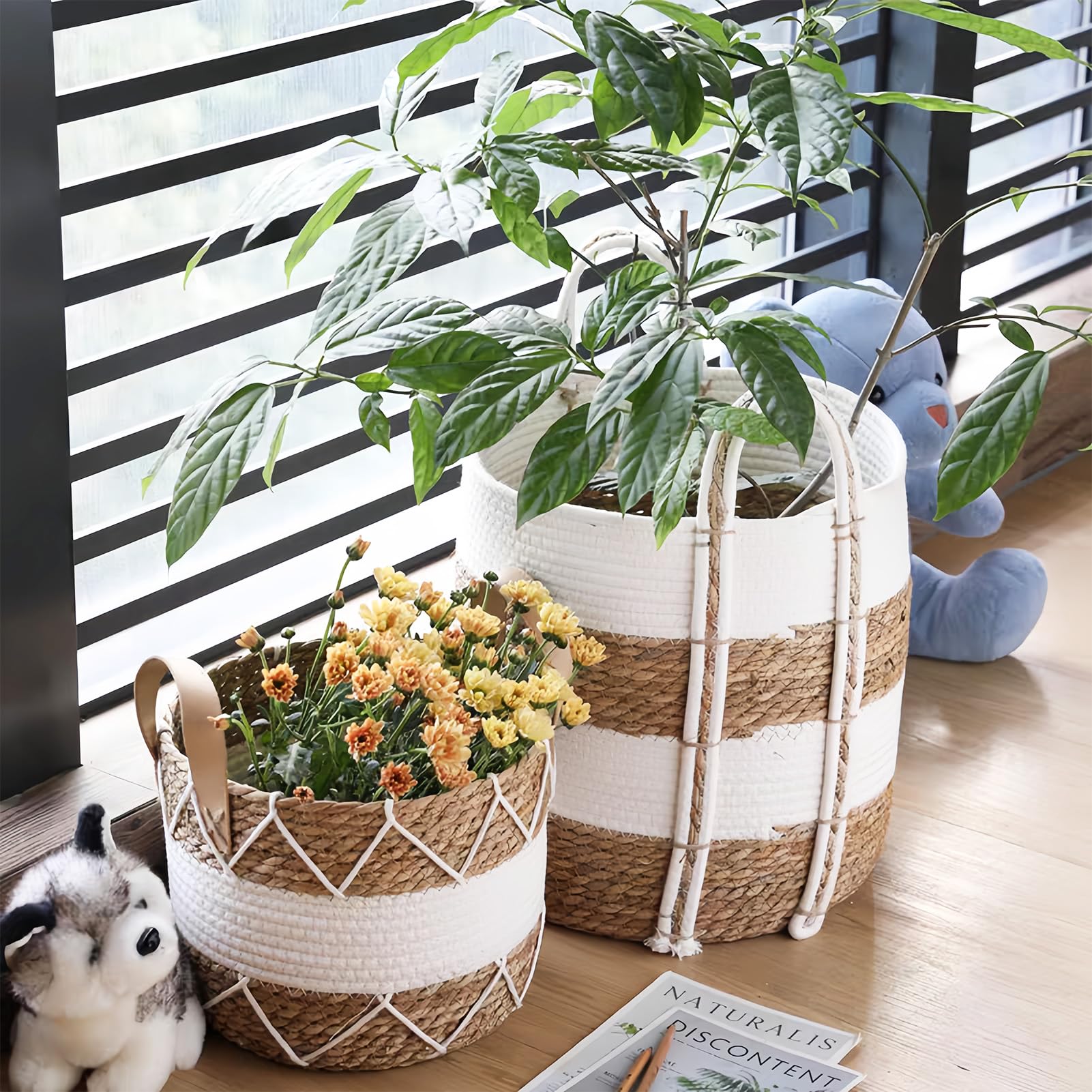 3-częściowy zestaw koszy na rośliny, trawa morska, doniczka ozdobna w stylu boho, średnica 18 cm, 22 cm i 25 cm