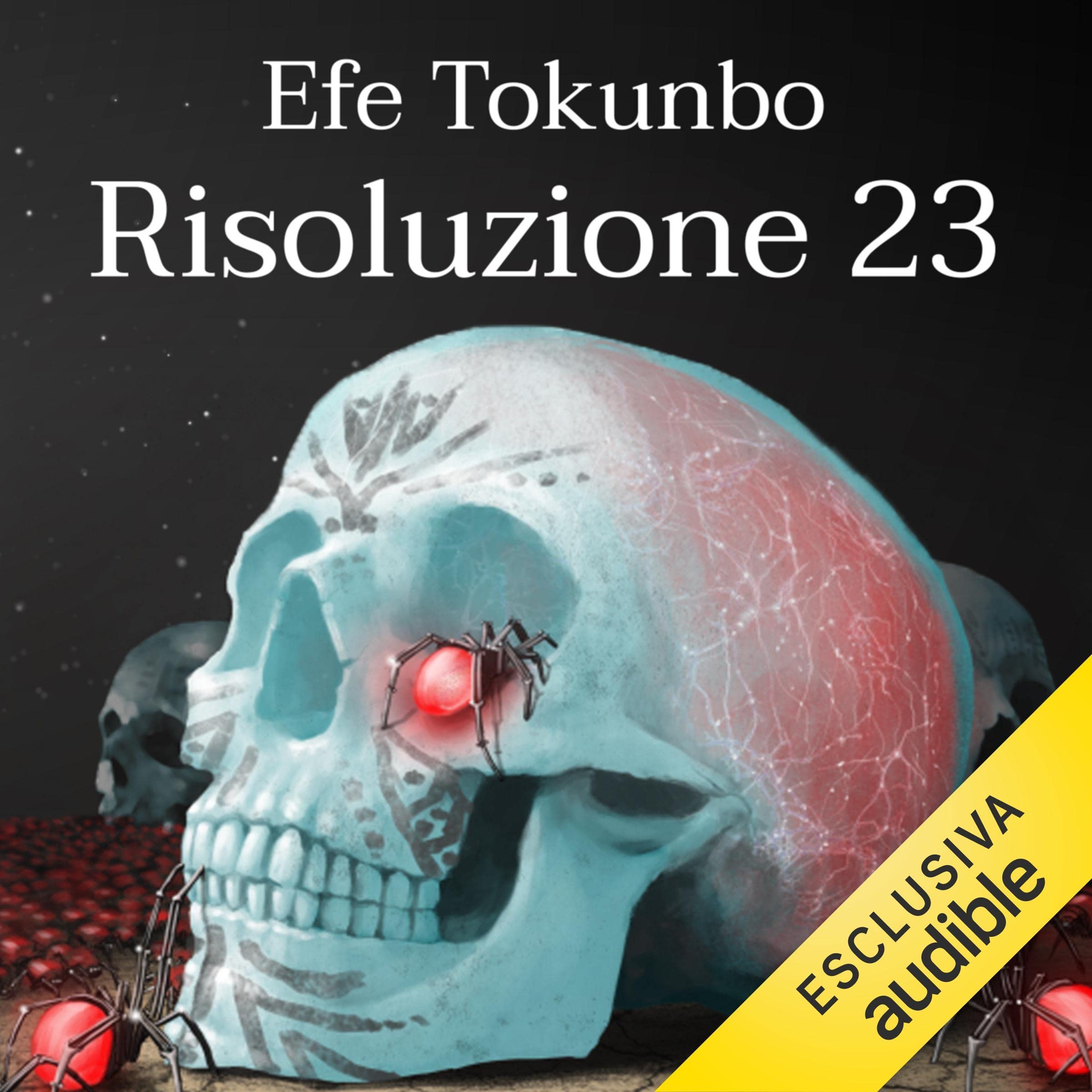Risoluzione 23