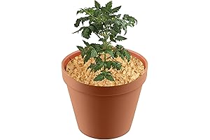 Amazing 8qt Pine Shavings: Essential Garden Soil Nutrition