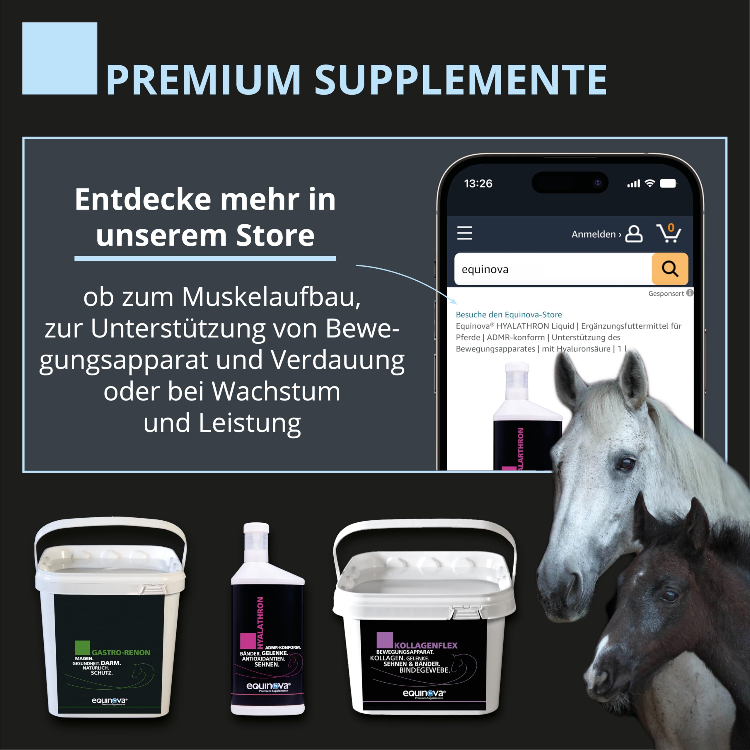 HAEMOFERAN Liquid 1l – mit Vitaminen, Spurenelementen, Zink, Kupfer Ergänzungsfuttermittel für Pferde – stärkt das Immunsystem bei erhöhtem Nährstoffbedarf