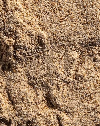 Miniatura 7 de Ora Organic Polvo vegano potenciador de colágeno para mujeres y hombres, soporte para el cabello, la piel y las uñas, sílice de bambú, proteína a